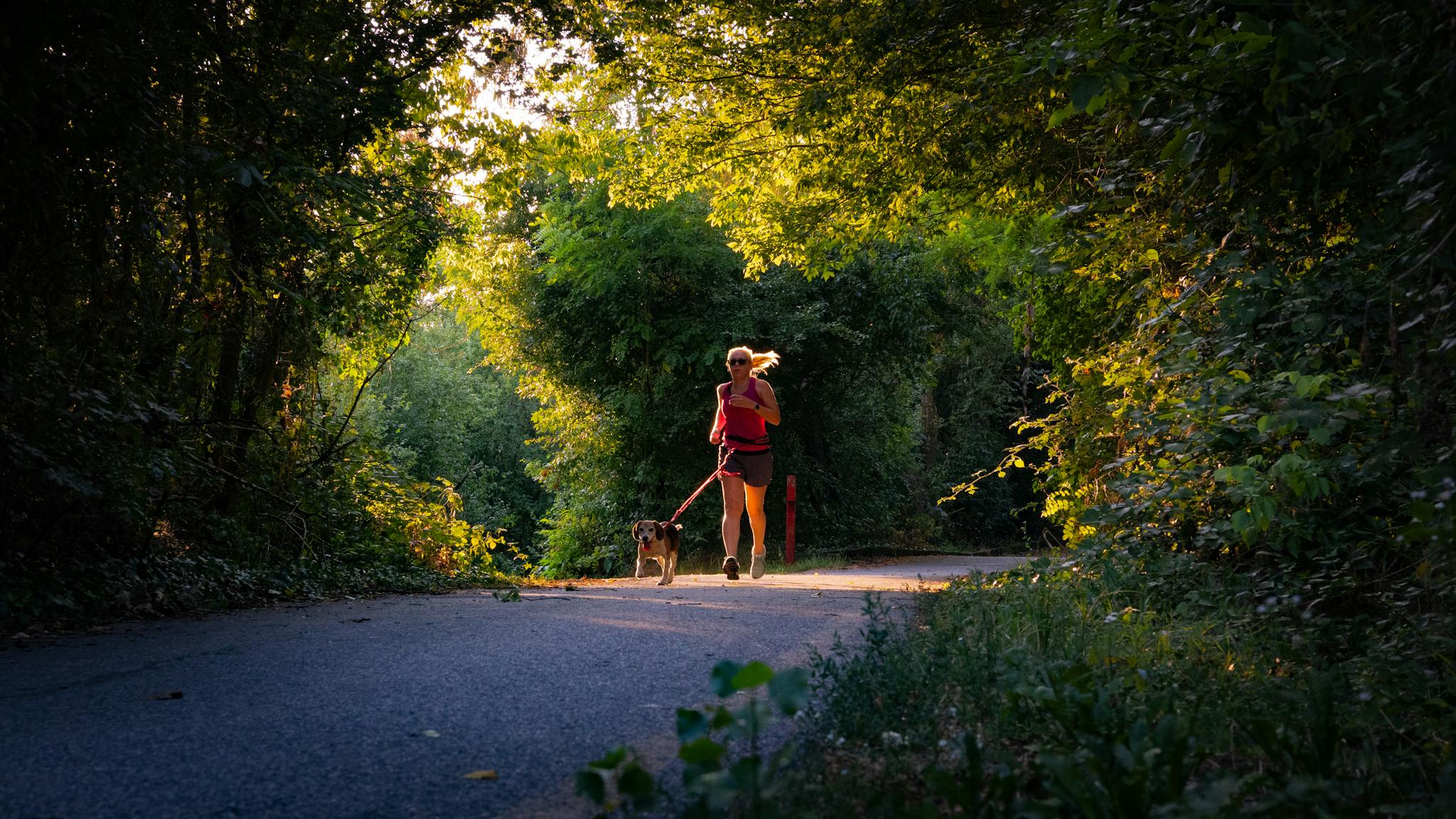 Woman jogging with her dog on a forest path, surrounded by lush greenery.